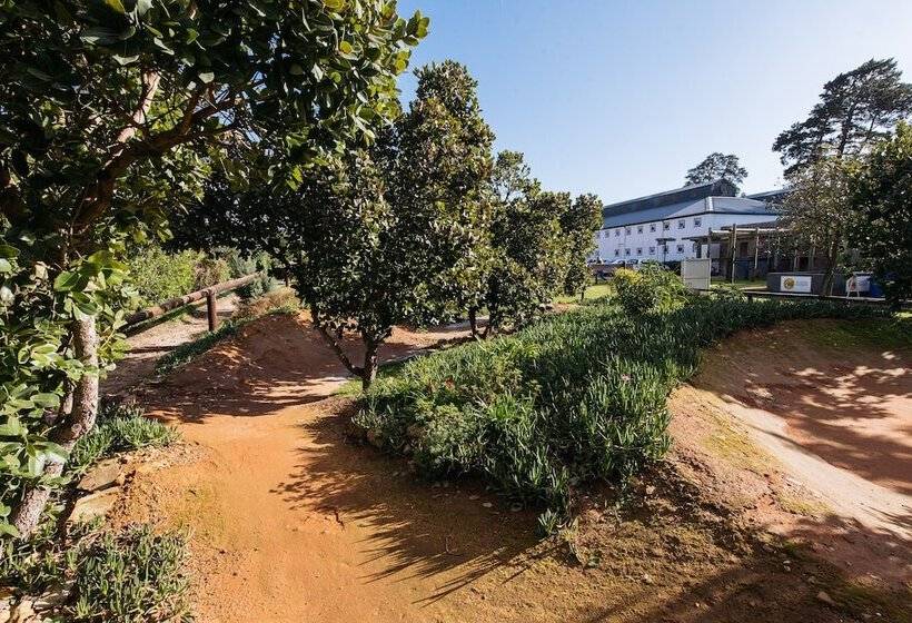 בית מלון כפרי Trail's End