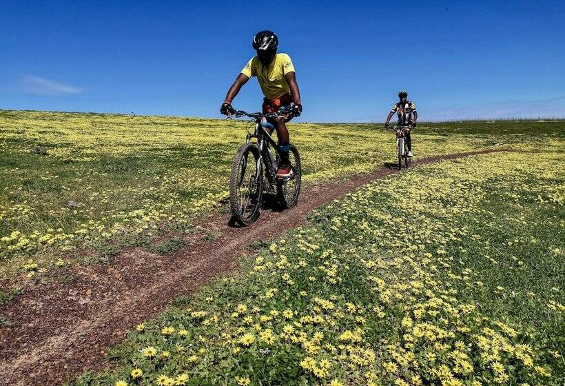 فندق Trail's End