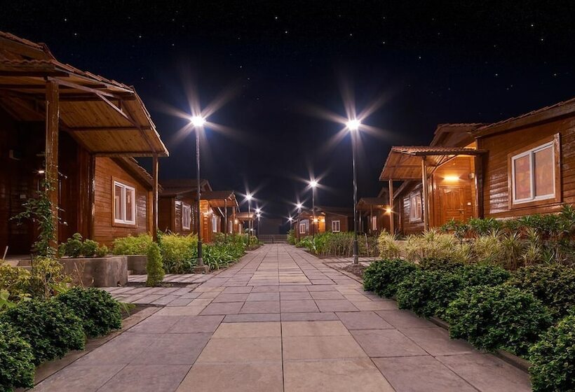 渡假胜地  Sunny S World