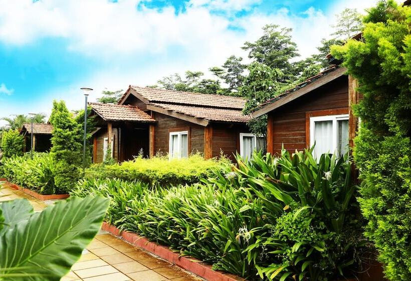 渡假胜地  Sunny S World