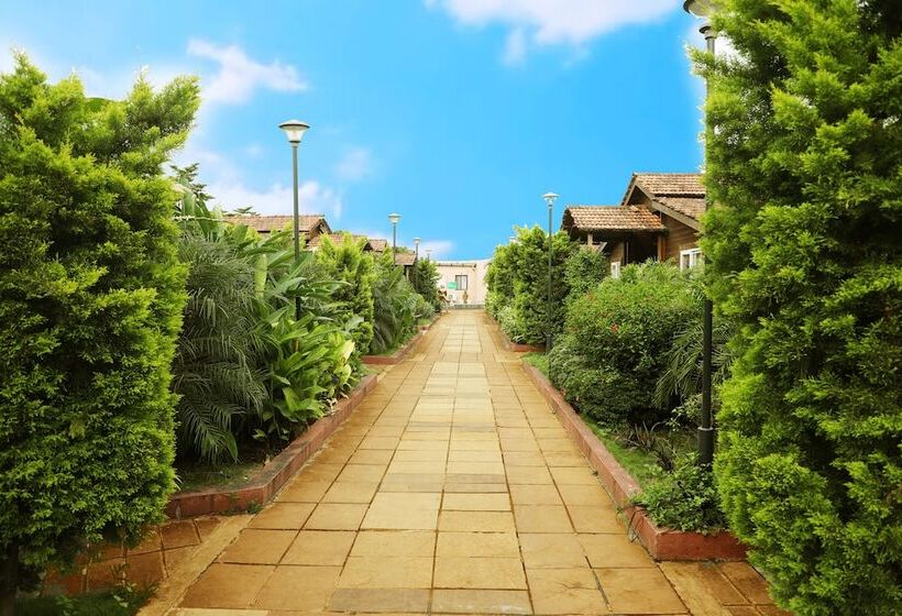 渡假胜地  Sunny S World