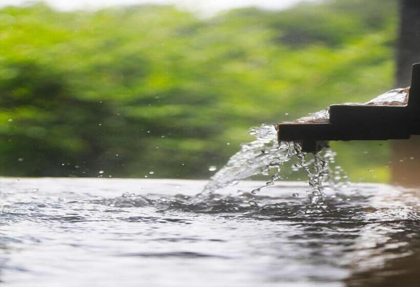 ريوكان Hakone Yuyado Zen