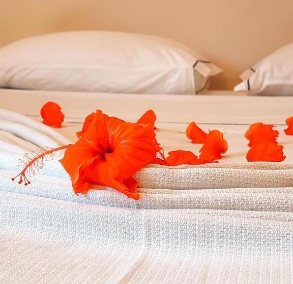 호스텔 Pousada Alquimista