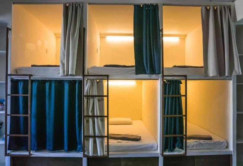 هاستل Wanderer Inn