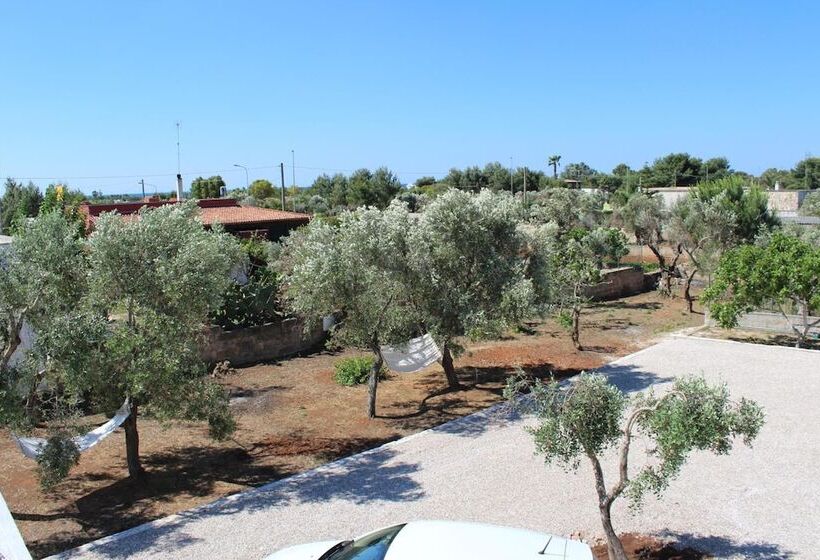 B&b L'isola Che Non C'è