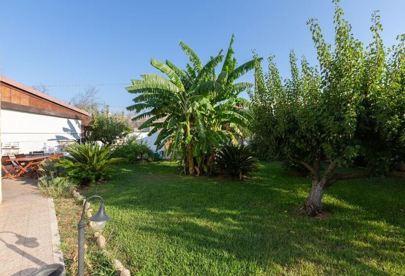 B&b L'isola Che Non C'è