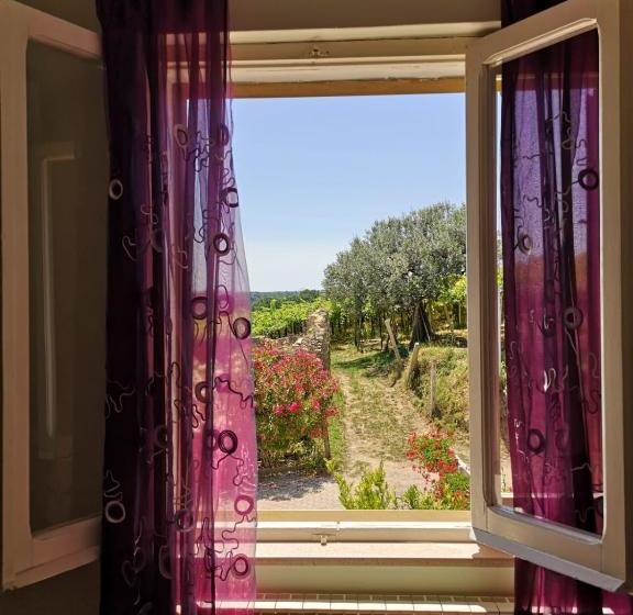 B&b Stella Dell'adriatico