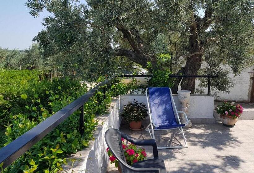 B&b Stella Dell'adriatico