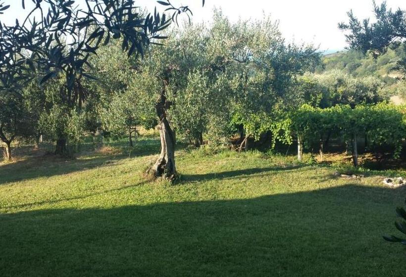 B&b Stella Dell'adriatico