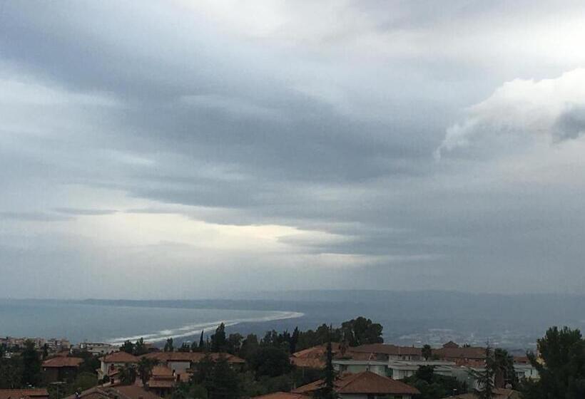 B&b Terrazza Dell'etna