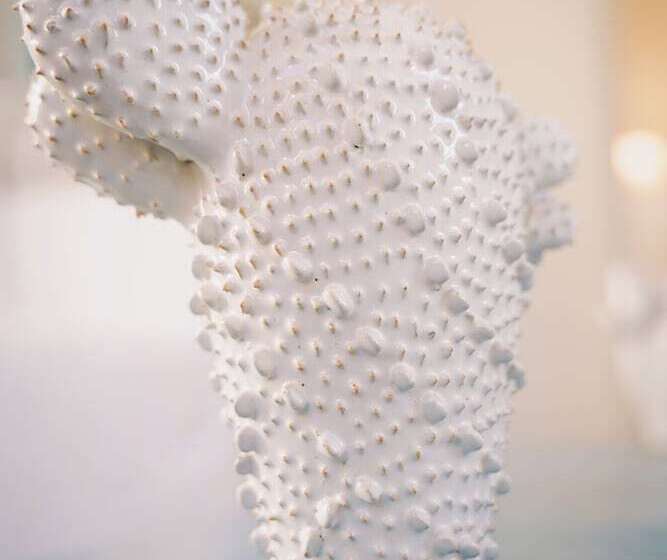 צימר Ca' De Tobia