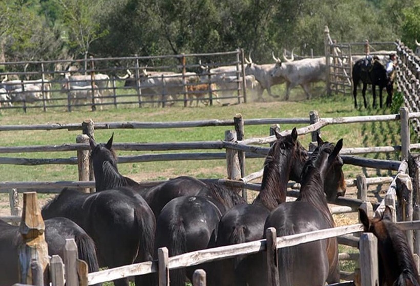 צימר Casalventodimare E Tramontana