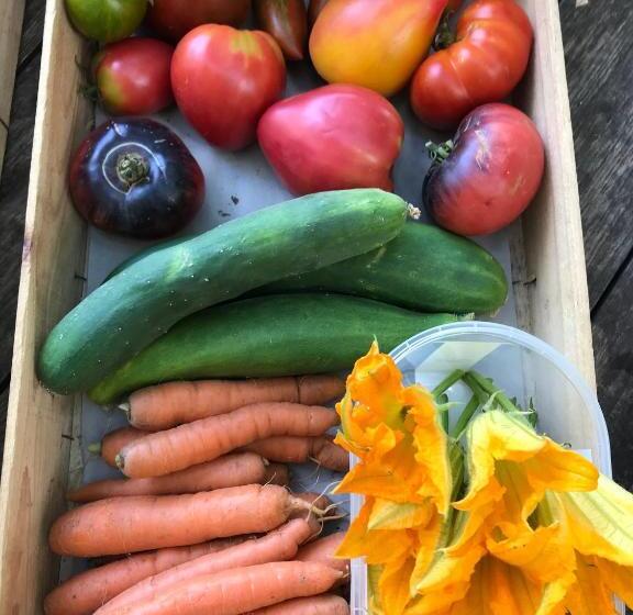 住宿加早餐  Domaine Du Clos D Alari Chambres D Hôtes Au Milieu Des Vignes