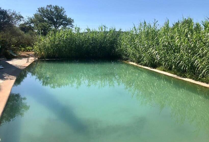 住宿加早餐  Domaine Du Clos D Alari Chambres D Hôtes Au Milieu Des Vignes