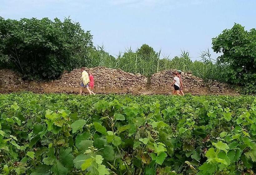 민박 Domaine Du Clos D Alari Chambres D Hôtes Au Milieu Des Vignes