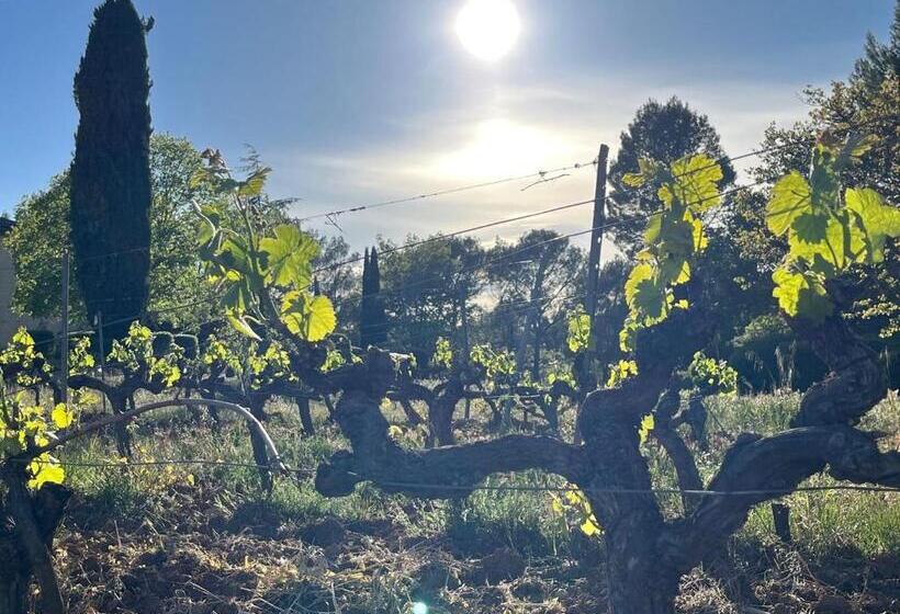 住宿加早餐  Domaine Du Clos D Alari Chambres D Hôtes Au Milieu Des Vignes