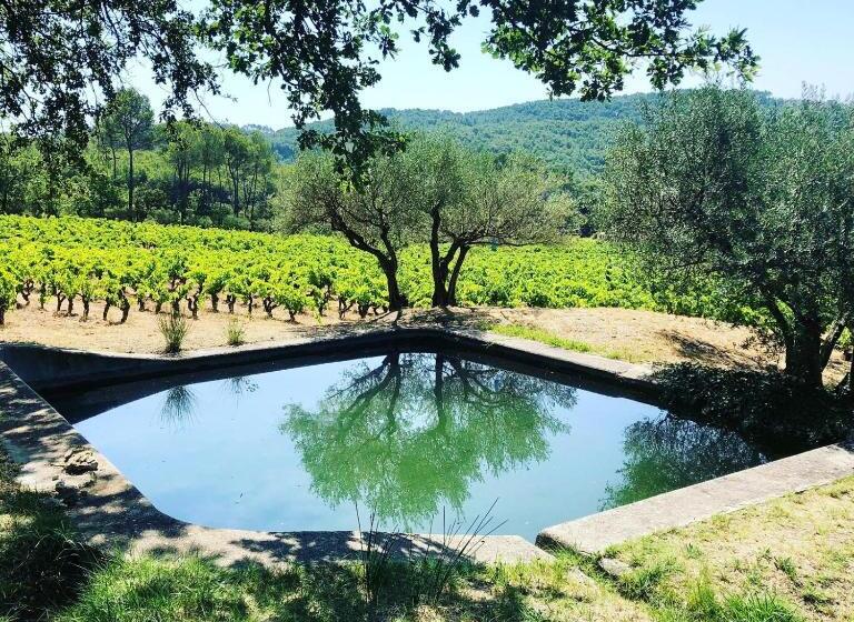 住宿加早餐  Domaine Du Clos D Alari Chambres D Hôtes Au Milieu Des Vignes