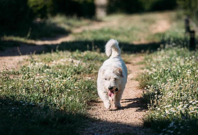 민박 Domaine Du Clos D Alari Chambres D Hôtes Au Milieu Des Vignes