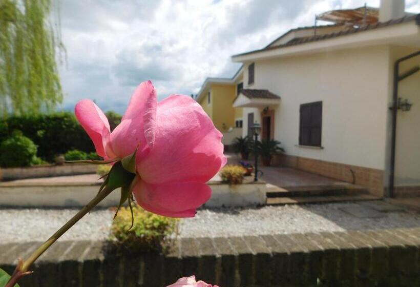 צימר L Albero Del Pepe