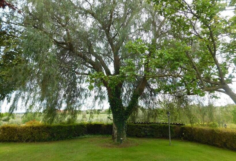 צימר L Albero Del Pepe