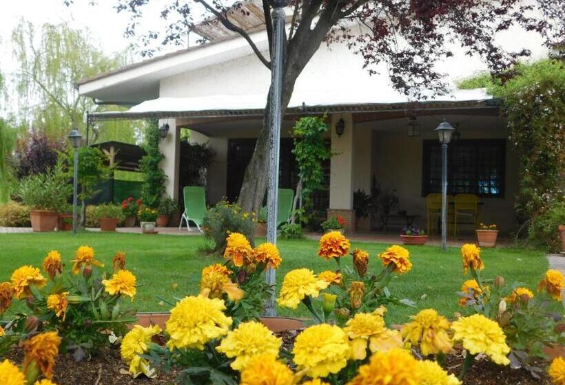 צימר L Albero Del Pepe