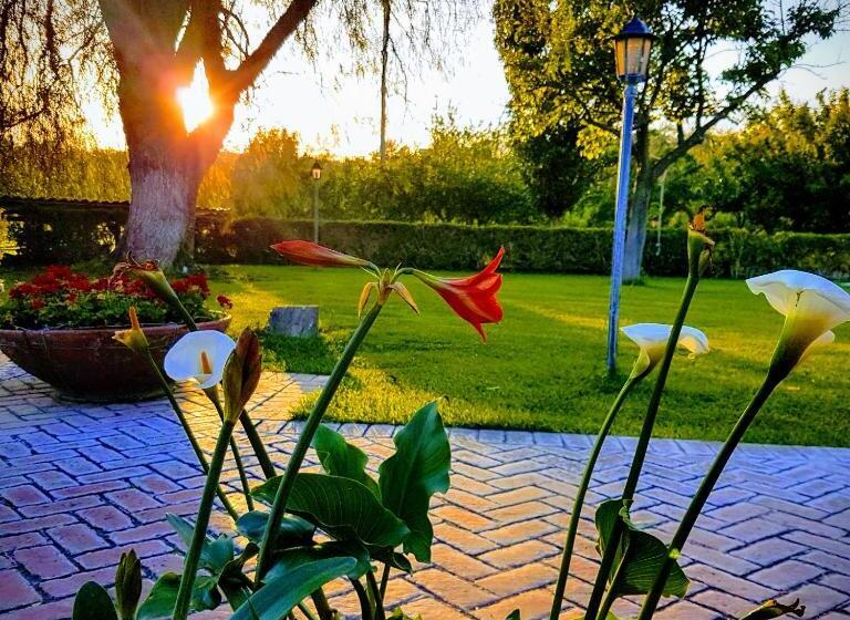 צימר L Albero Del Pepe