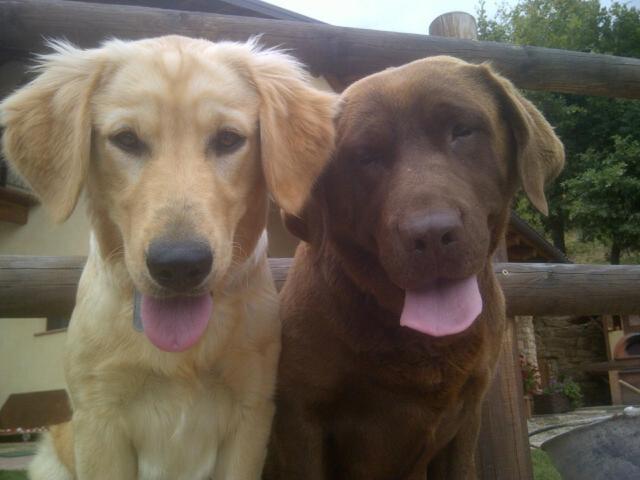 Bed and Breakfast L Ramassin