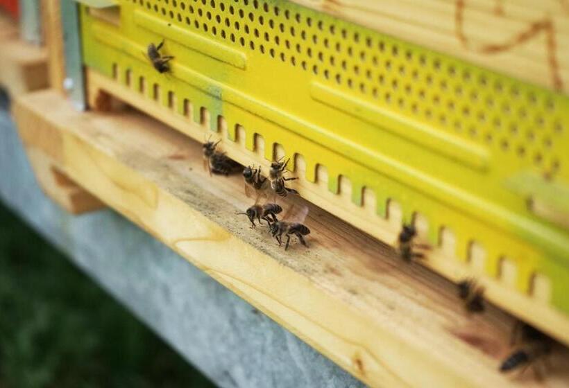 Bed and Breakfast La Sloda