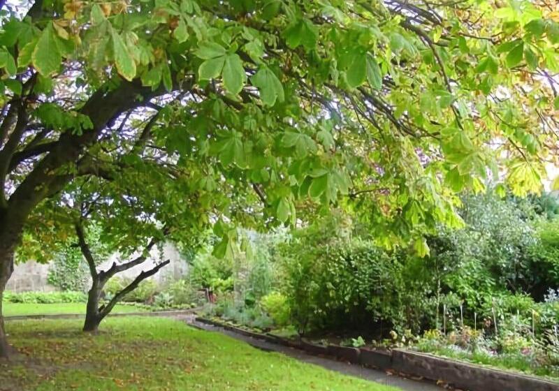 Bed and Breakfast Lossiemouth House