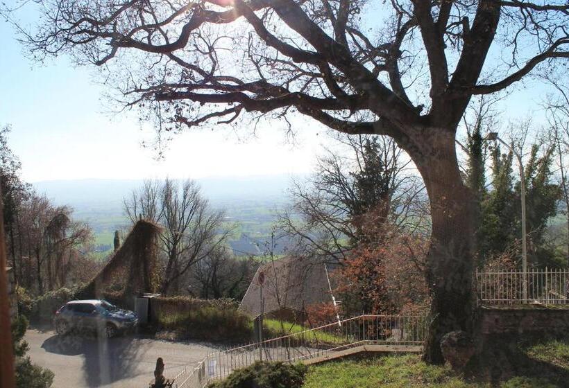 تختخواب و صبحانه Sogni D'assisi