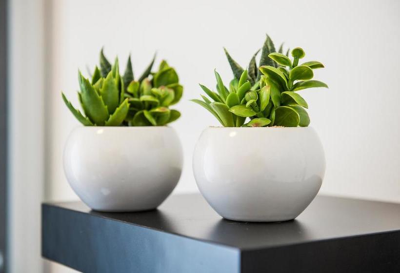 민박 Villa Gremì   Castiglione Falletto