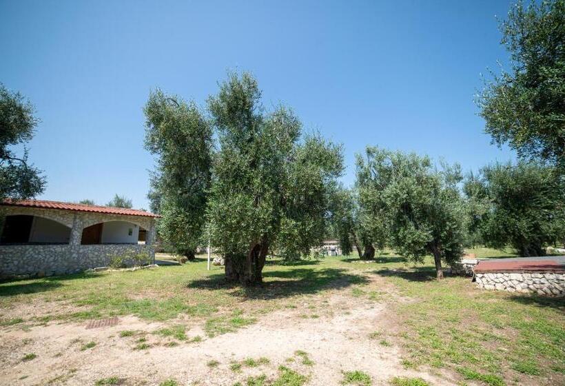 住宿加早餐  Coppola Rossa Relax