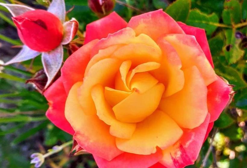 Domaine De Chalétang