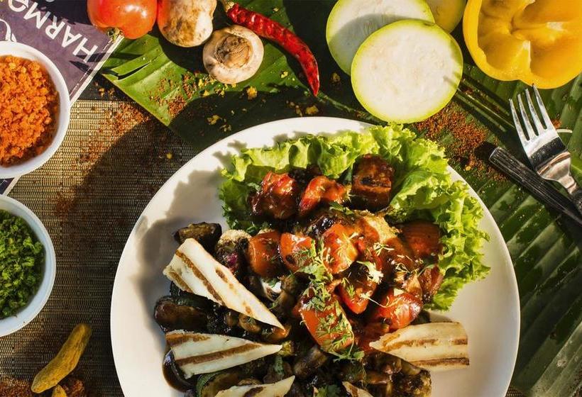 Harmonium Resorts Agonda