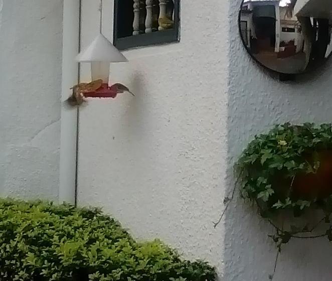 בית מלון כפרי Abril