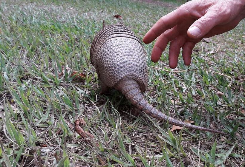 فندق Cantos Da Mata