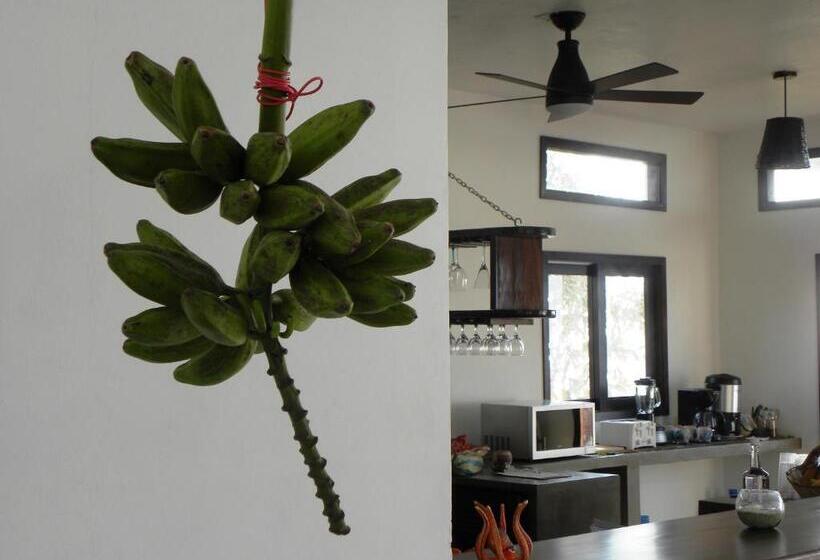 בית מלון כפרי Casa Kalmar