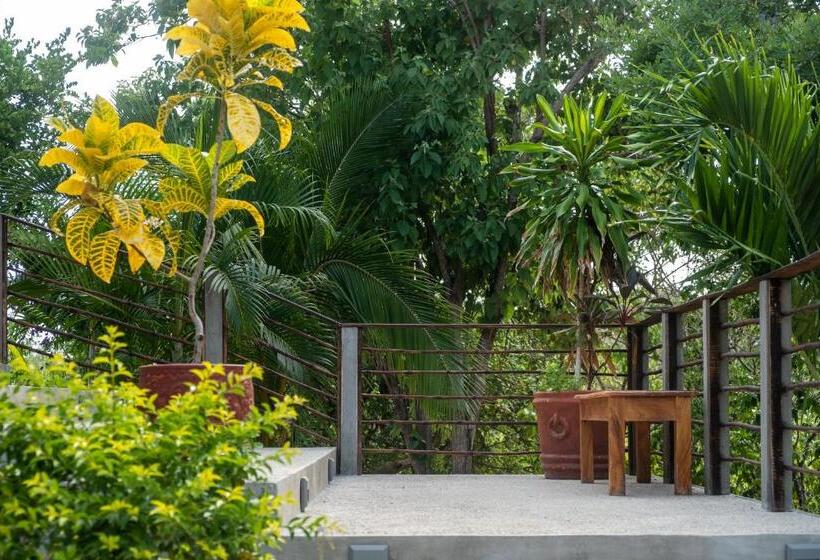 בית מלון כפרי Casa Kalmar