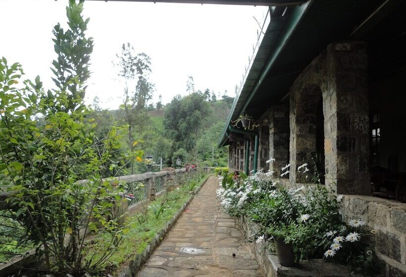 Отель Castlereigh Holiday Bungalow