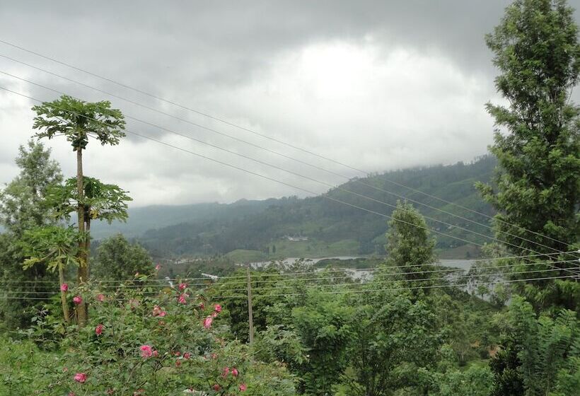 Отель Castlereigh Holiday Bungalow