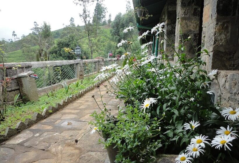 Отель Castlereigh Holiday Bungalow