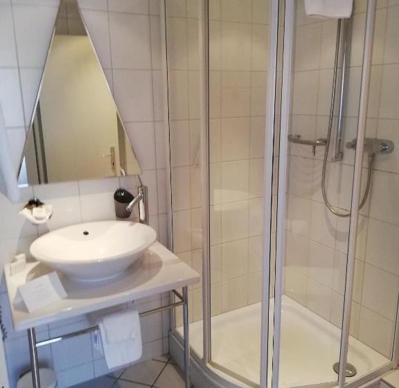 호텔 Hôtel Bellevue