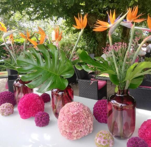 호텔 Hôtel Bellevue