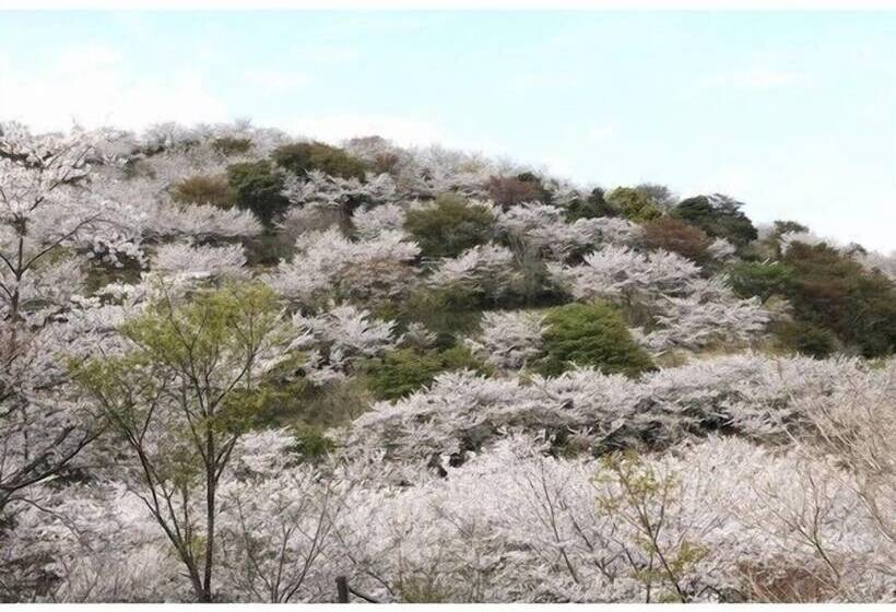 Hotel Js Nichinan Resort