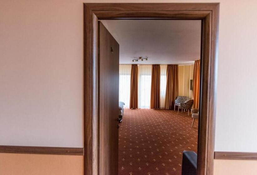 酒店 Monte Carlo Reghin