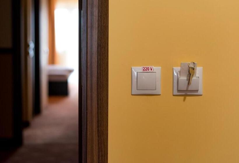 酒店 Monte Carlo Reghin