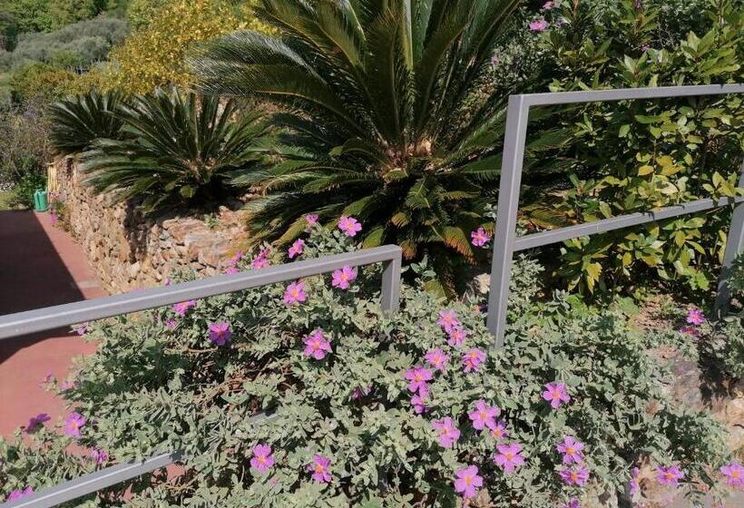 בית מלון כפרי Oroverde