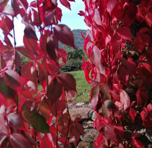 בית מלון כפרי Oroverde