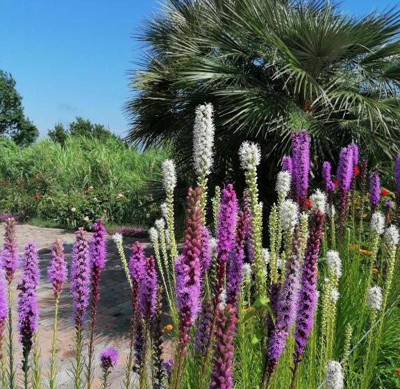 فندق Oroverde