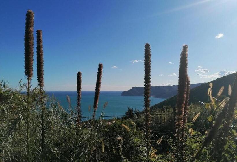 בית מלון כפרי Oroverde